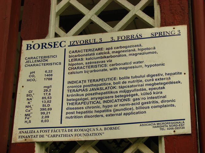2008-08-29 16-32-28.JPG - 2008-RO>Borsec